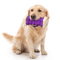 Interactive Dog Chew Toy