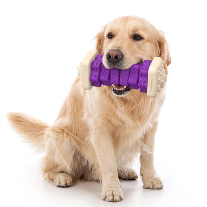 Interactive Dog Chew Toy
